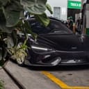 souza.exotics