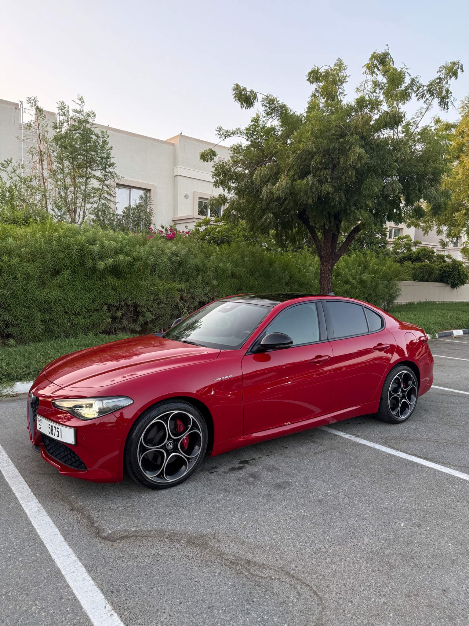 Alfa Romeo Giulia Veloce.
