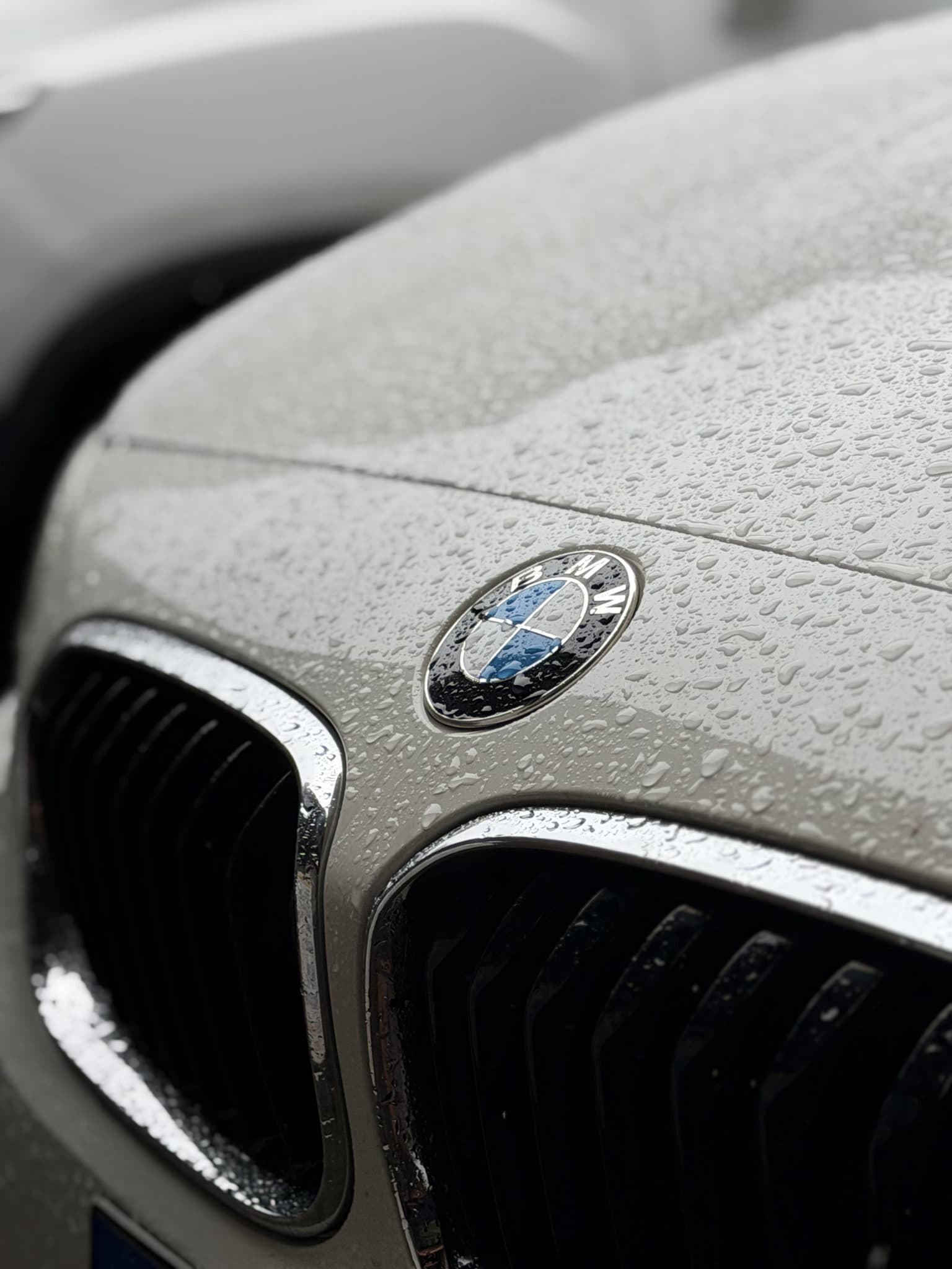 Pra quem não me conhece, meu nome é Gabriel, sempre fui apaixonado por carros e automobilismo e com isso também sempre fui apaixonado por BMW. Felizmente, após anos de muito estudo e trabalho consegui conquistar meio primeiro carro e mais feliz ainda por ser  minha primeira BMW. 
Estou fazendo um projeto com ela, é uma F20 2019 já com maravilhoso motor B48, atualmente está com remap stage 2 e algumas outras coisas. a ideia é transformar esse carro na sua versão mais esportiva mas sem perder suas características e suas linhas originais, até porque também uso o carro no meu dia a dia.
gosto de Trackday, aprendendo a fazer drift e outras coisas.
Logo menos vou postar as etapas desse projeto.
Sejam bem vindos ao canal e sintam-se livres para dar sugestões; críticas são sempre bem vindas desde que sempre respeitosas.
