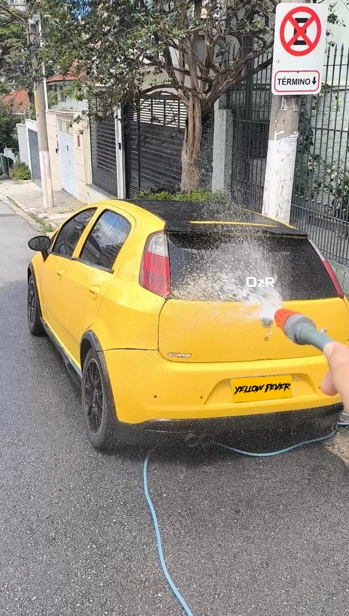 Domingo é dia de banho 🚿💦