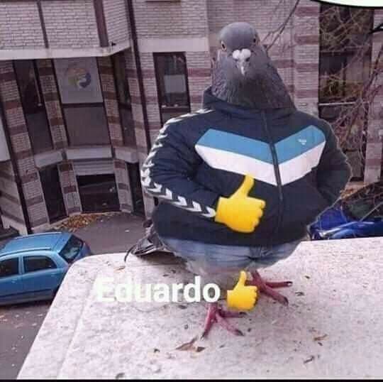 Pipoco de Kazinho Original - Com Catalisador e sem Abafador