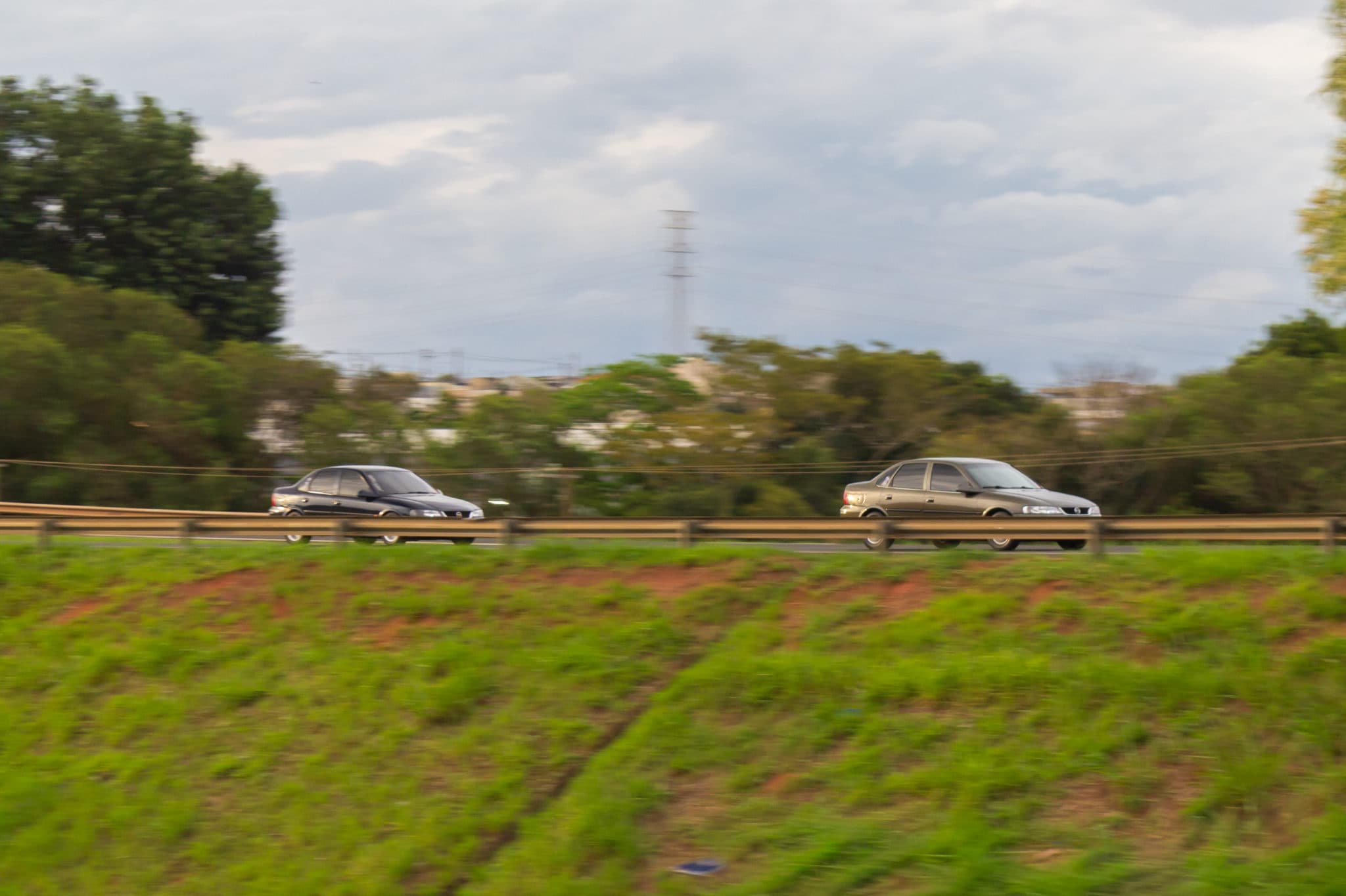 panning dos tubarões
